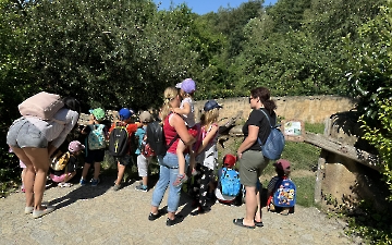 Červen_6