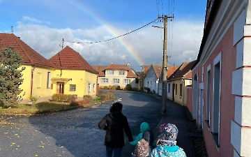 Co se děje v lese pod jehličím