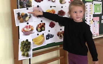 MŠ_7