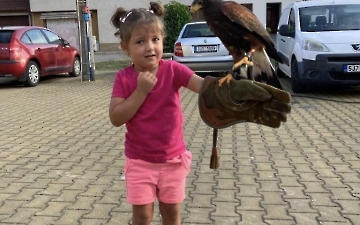 Září ve školce