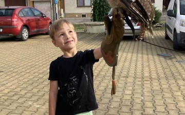 Září_9