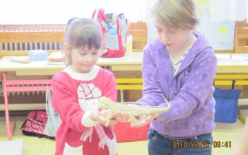 pořad se zvířátky 5. 1. 2016
