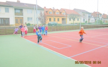Tělesná výchova
