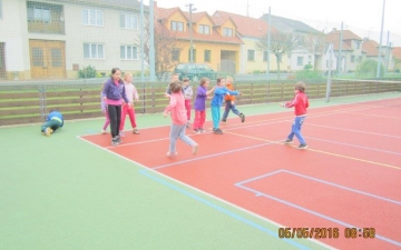 Tělesná výchova