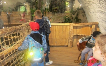 Výlet ZOO Jihlava 