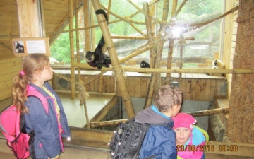Výlet ZOO Jihlava 
