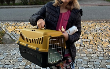 den bez aktovek_2
