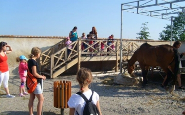 Výlet na zámek v Jevišovicích - Bajaja_7