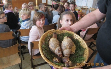 Pořad se zvířátky