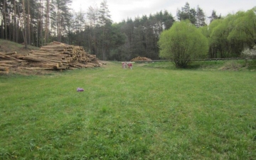 Orientační závod_8