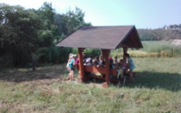 školní rok 2018/2019