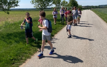 Šipkovaná ke Dni dětí