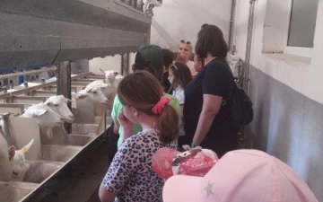 Školní výlet - Kozí farma Ratibořice