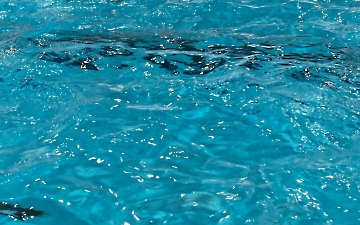 plavání_3