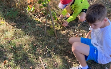 domečky pro skřítky_7