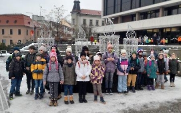 Hvězdička betlémská_11