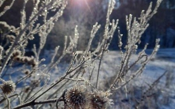 zima_19