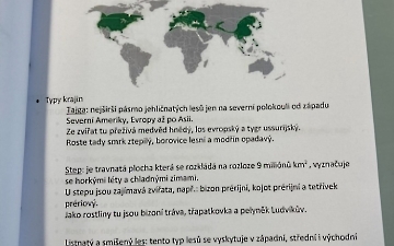 Podnebné pásy - skupinová práce