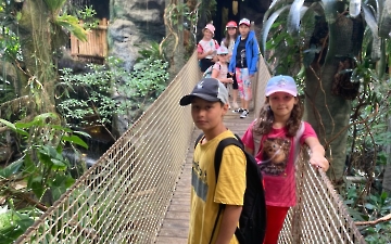 zoo_1