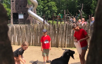 zoo_1