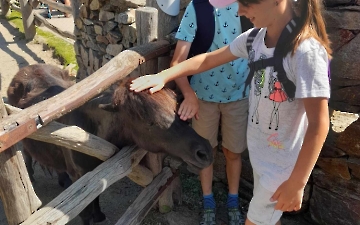 zoo_2