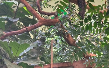 zoo_3