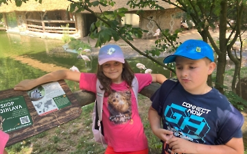 zoo_5