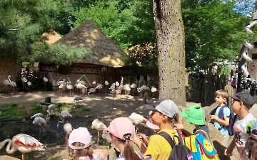 zoo_7