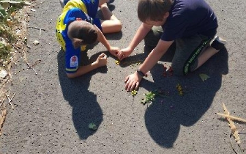 přírodní mandaly_14