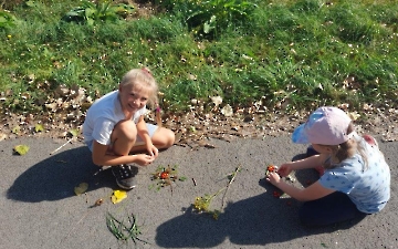 přírodní mandaly_4