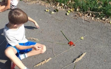 přírodní mandaly_6