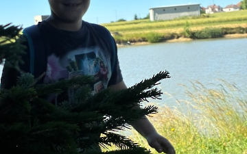 šipkovaná_10
