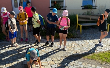 šipkovaná_2
