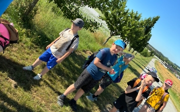 šipkovaná_4