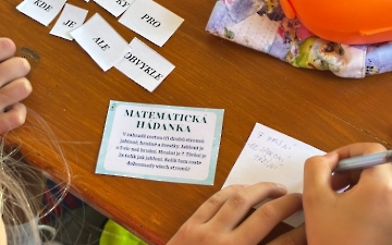 šipkovaná_6