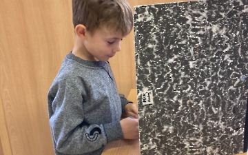 Školní volby