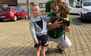 program se zvířátky_10