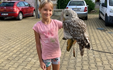 program se zvířátky_2