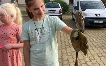 program se zvířátky_3