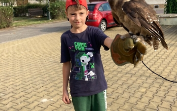 program se zvířátky_4