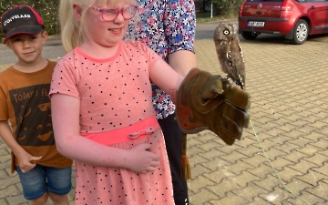 program se zvířátky_5