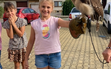 program se zvířátky_6