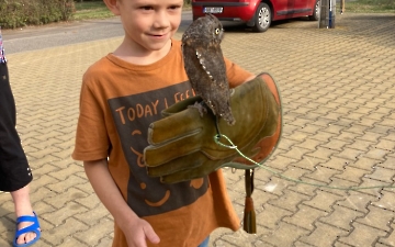 program se zvířátky_7