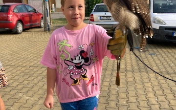 program se zvířátky_8