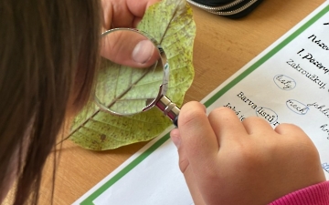 Den stromů - 20. 10.