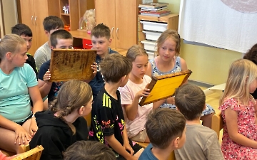 včelky_8