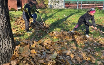 Hrabeme, sbíráme, ...