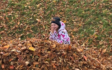 Hrabeme, sbíráme, skáčeme, ...