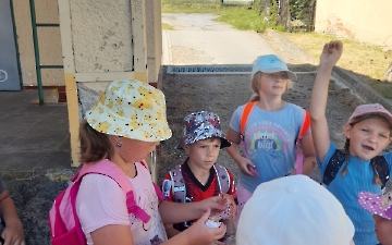 šipkovaná_10