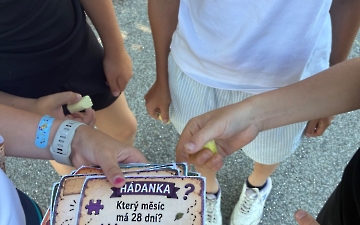 šipkovaná_1